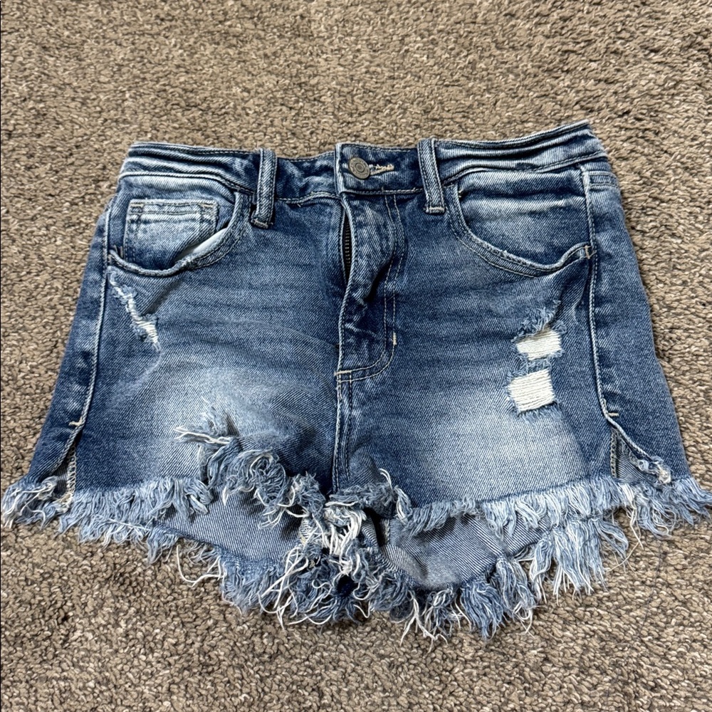 Willow & Root Shorts (vintage dad jeans)